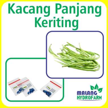 Benih Kacang Panjang Keriting Unggulan Berkualitas bibiit biji repack viva kacang kalimantan kacanga
