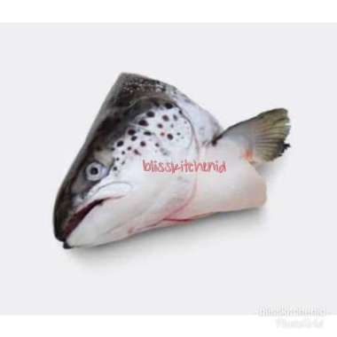 Kepala Ikan Salmon / Salmon Fish Head