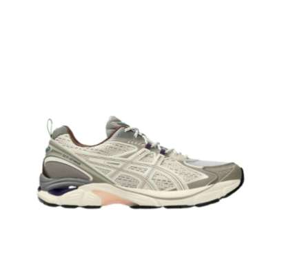 Asics GT 2160 Wood Wood Cream Oatmeal 9