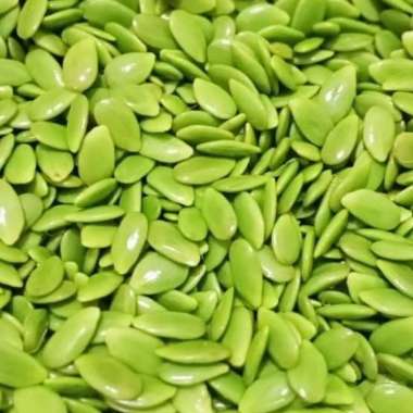 Pete cina / Petai Cina / Lamtoro / Mlanding / Metir Fresh