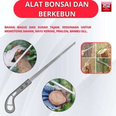 TUTU Alat Bonsai dan berkebun, Gergaji Pruning, Gergaji Compas, Gergaji Bonsai Kecil 1 set gergaji