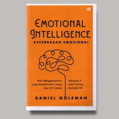 Buku Kecerdasan Emosional / Multivariasi Multicolor