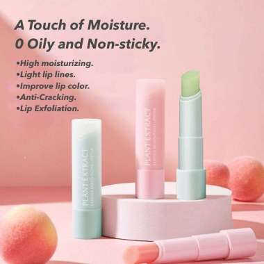 Mack Andy Plant Extract Moisturizing Nourishing Lip Balm Preventing Lip Wrinkles Non Color Lipstick 