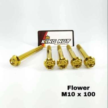 Baut M 10 x 100 Drat 14 x 100 Gold Baut Probolt Thailand Stainless King Nut