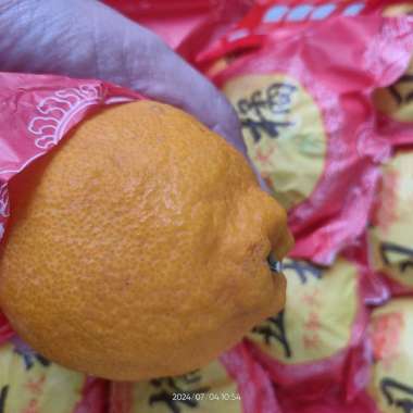 Buah Jeruk Dekopon 1 Keranjang