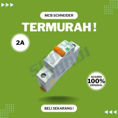 MCB Schneider Domae 1 Phase 2A