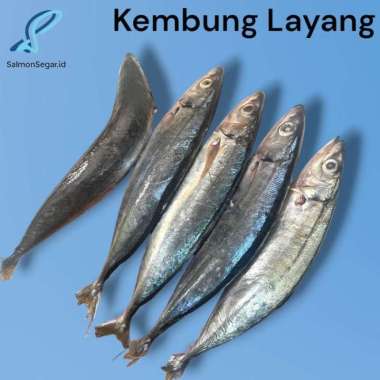 Ikan Kembung Layang 1kg - Seafood Premium Frozen