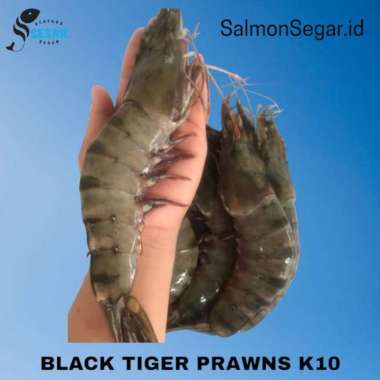Udang Tiger Jumbo 1kg - Udang Pacet Size 10-15 ekor