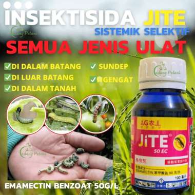 Jite Insektisida Pembasmi Ulat Pada Tanaman Paling Ampuh