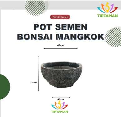 pot semen bonsai mangkok / pot estetik mangkok / pot beton mangkok [khusus kurir instan] Besar