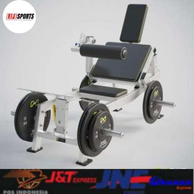 DHZ FITNESS HIP THRUST Plate Loaded U3092 Glute Exercise PROMO