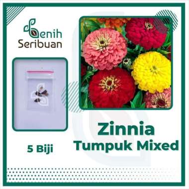5 Benih Zinnia Elegans Mix Bibit Bunga Zinnia Liliput Tumpuk