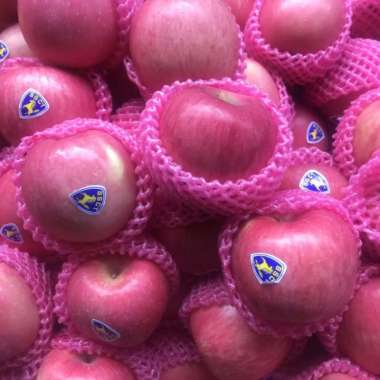 Apel fuji 1kg kualitas OK & segar