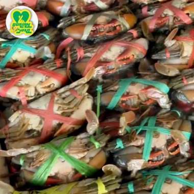 Kepiting Bakau | Kepiting Rajungan | Baby Crab | Fresh Frozen 1KG Kepiting Rajungan 1KG