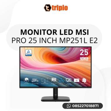 MONITOR LED MSI PRO 25 INCH MP251L E2