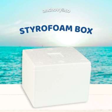Styrofoam Box Khusus Teri Nasi Basah | Anchovyandco