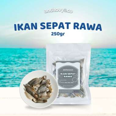Ikan Asin Sepat Rawa 250gr