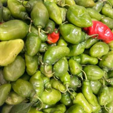 Cabe Gendot Cabai Gendot Cabe Gendot 250 gram 1 kg