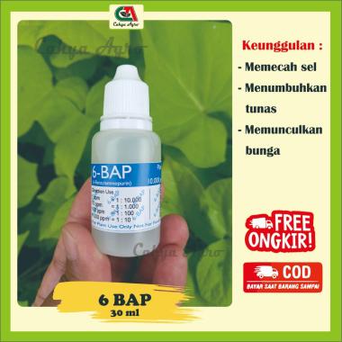 Hormon 6 BAP Bud Breaker Penumbuh Tunas dan Bunga anggrek