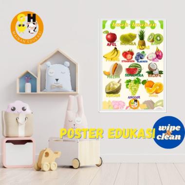 WIPE CLEAN Poster Edukasi Anak Balita PAUD TK SD Angka Huruf Alfabet Hewan BIASA WARNA