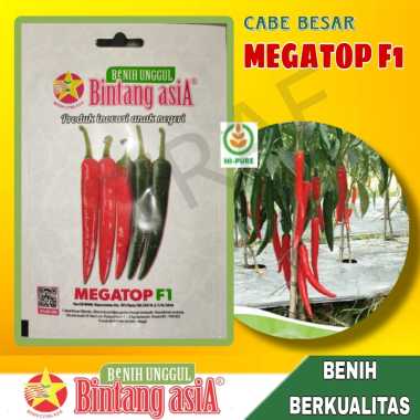 Benih Cabai Cabe Besar MEGATOP F1 1 Gram Cap Bintang Asia PT Benih Citra Asia Warna Merah Menyala Co