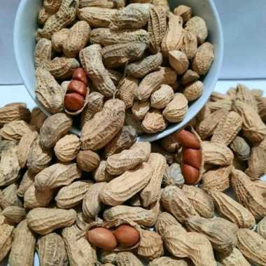 Kacang Kulit Goreng Pasir - 250gr / Kacang Sangrai Gurih Murah