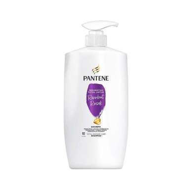 Promo Harga Pantene Shampoo Total Damage Care 900 ml - Blibli