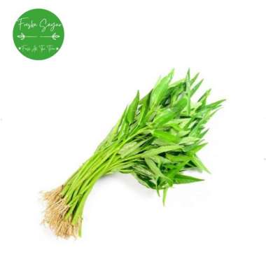 Kangkung Segar 1 Ikatan Besar