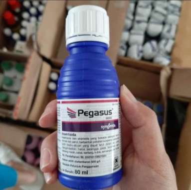 insektisida pegasus 80 ml pembasmi hama