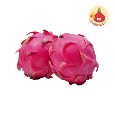 Buah Naga Segar