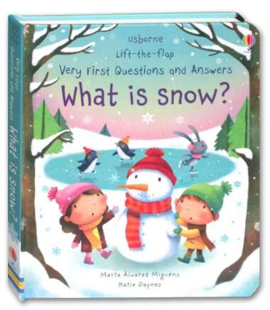 Usborne Lift-the-flap What is Snow | Buku ensiklopedia anak impor Multivariasi