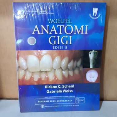 anatomi gigi woelfel ed 8 egc Multivariasi Multicolor