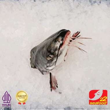 Kepala Ikan Marine Catfish 1 kg / Ikan Ajaan / 22 Seafood