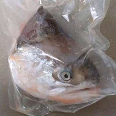 Kepala Ikan Salmon Utuh Super Spesial (Bukan Separo)