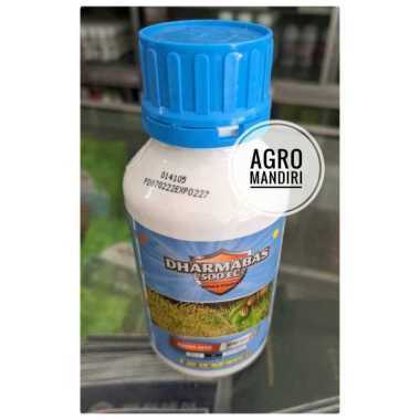Dharmabas 500EC 400ml Insektisida Pembasmi Belalang Wereng