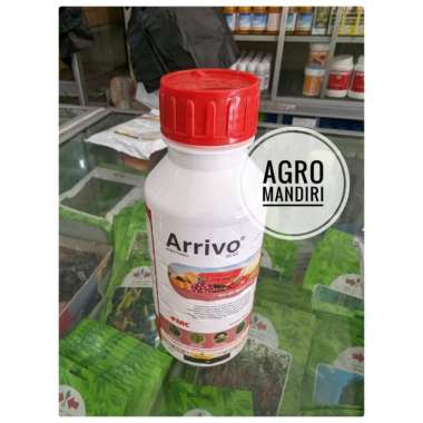 Arrivo 30EC 500 ml Insektisida Pembasmi Ulat Kontak dan Lambung
