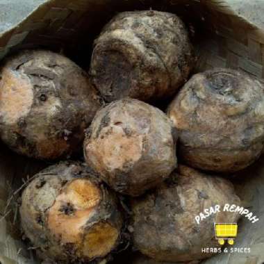 TEMULAWAK SEGAR 1 KG