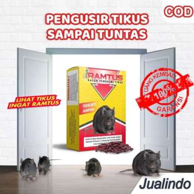 RAMTUS Racun Tikus Mati Kering Pembasmi Ampuh Efektif dan Aman