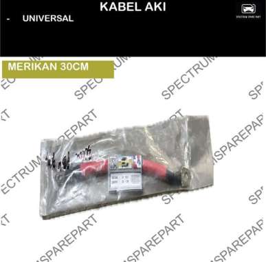 KABEL AKI SKUN - SKUN 30CM MERIKAN 24V