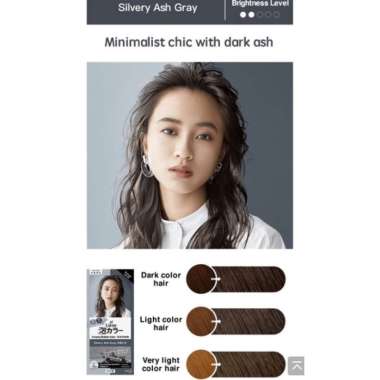 LIESE bubble hair color pewarna rambut bubble foam original SILVERY ASH GRAY