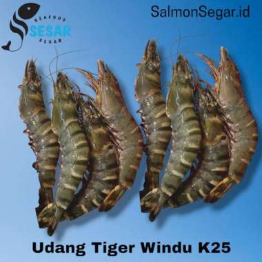 Udang Black Tiger Segar Ak25 - Udang Pacet Windu Segar Jumbo 500 gr