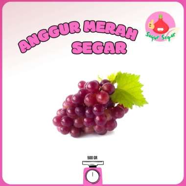 Sayur Segar - Anggur Merah / Red Grapes 250 gram