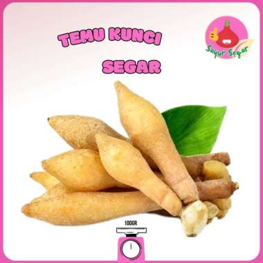 Sayur Segar - Temu Kunci 100 gr