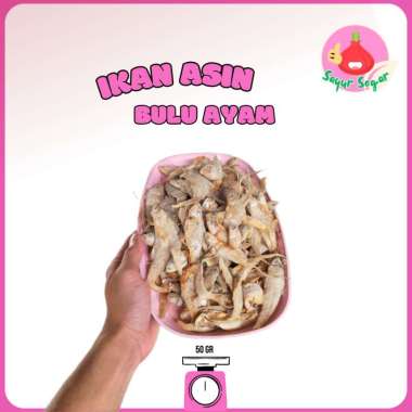 Sayur Segar - Ikan Asin Bulu Ayam 50 gr / Salted Fish