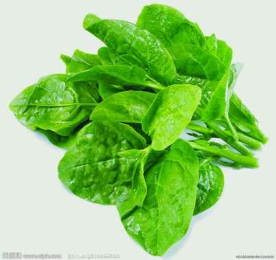 BAYAM TAIWAN ORGANIK BSP FARM 200GR