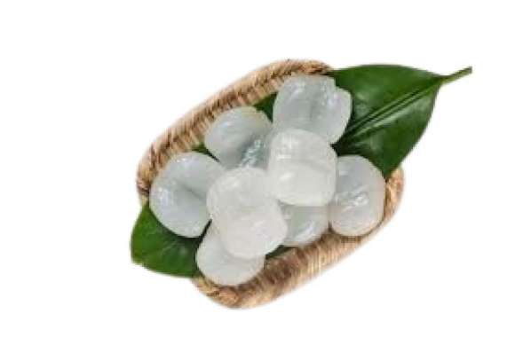 BUAH LONTAR