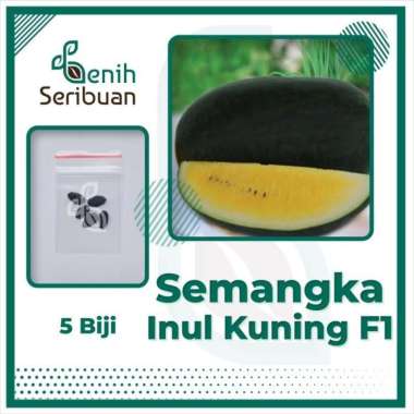 5 Benih Semangka Inul Kuning F1 Hibrida Maduri Bibit Tanaman Buah