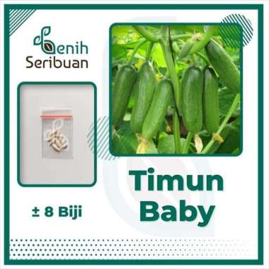8 Benih Timun Baby Bibit Sayuran Buah Timun F1 Hibrida Benih Sayuran TIMUN BABY