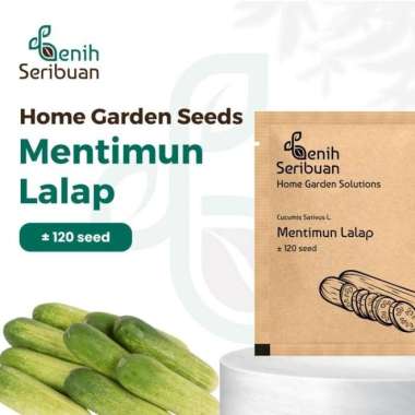 Bibit Timun Lalap - Benih Sayuran Seribuan Premium PREM TIMUN LALAP