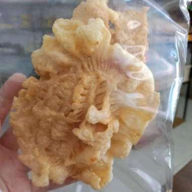 hu phio / hupio huphio / lambung perut ikan